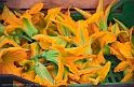 Florence Market Zucchini Blossom